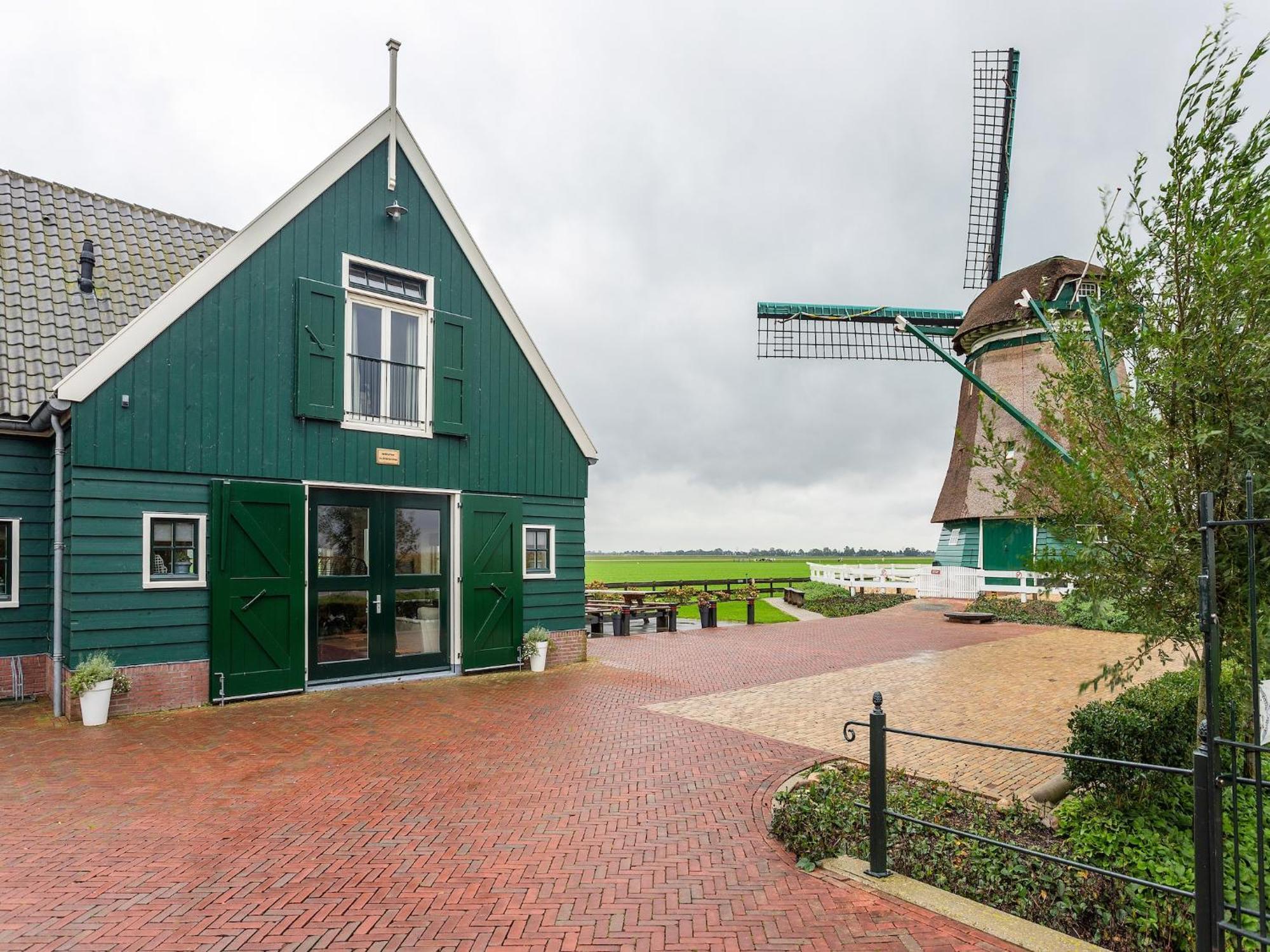 Spacious In The Beemster Near A Windmill