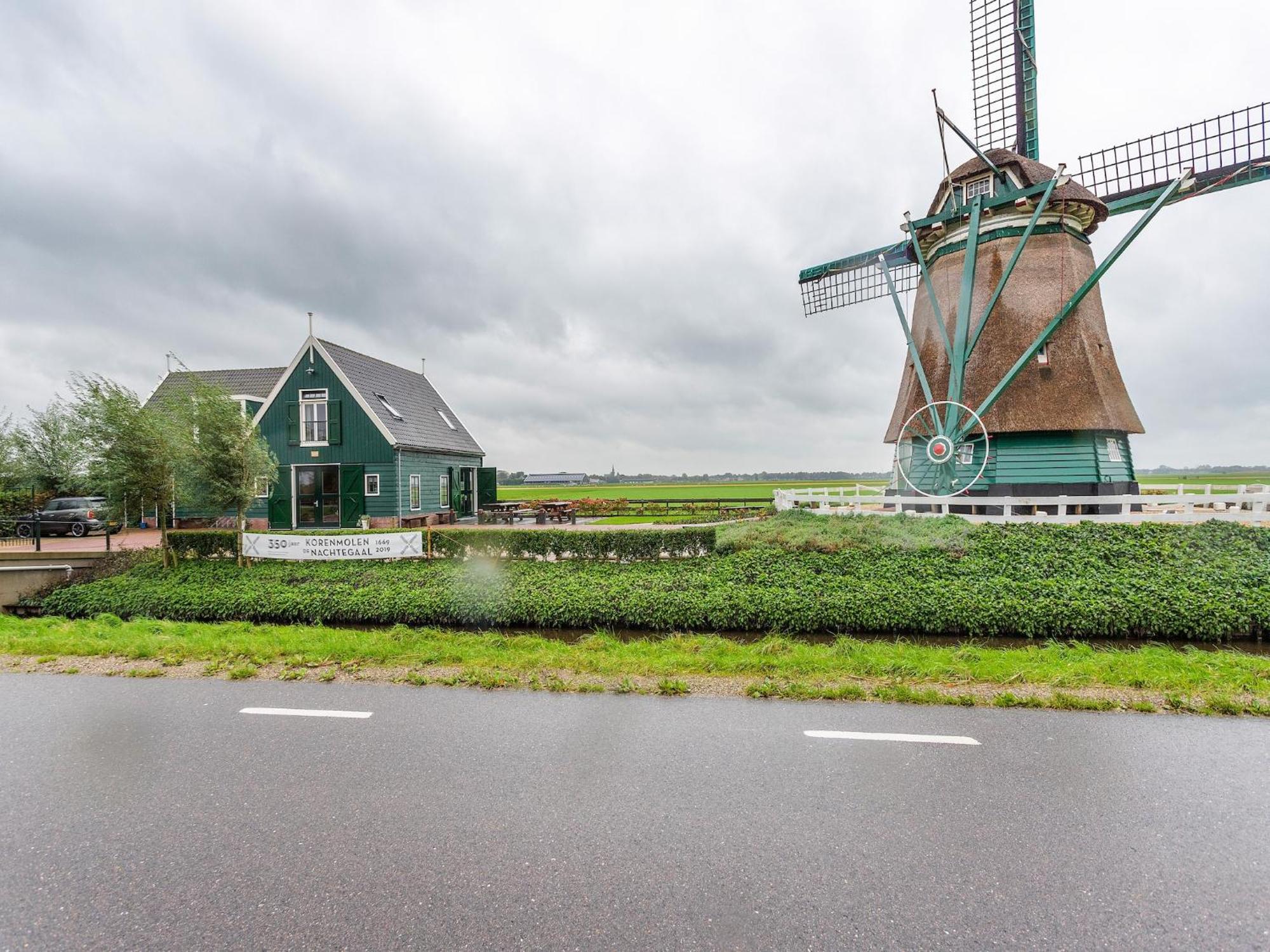 Spacious In The Beemster Near A Windmill *