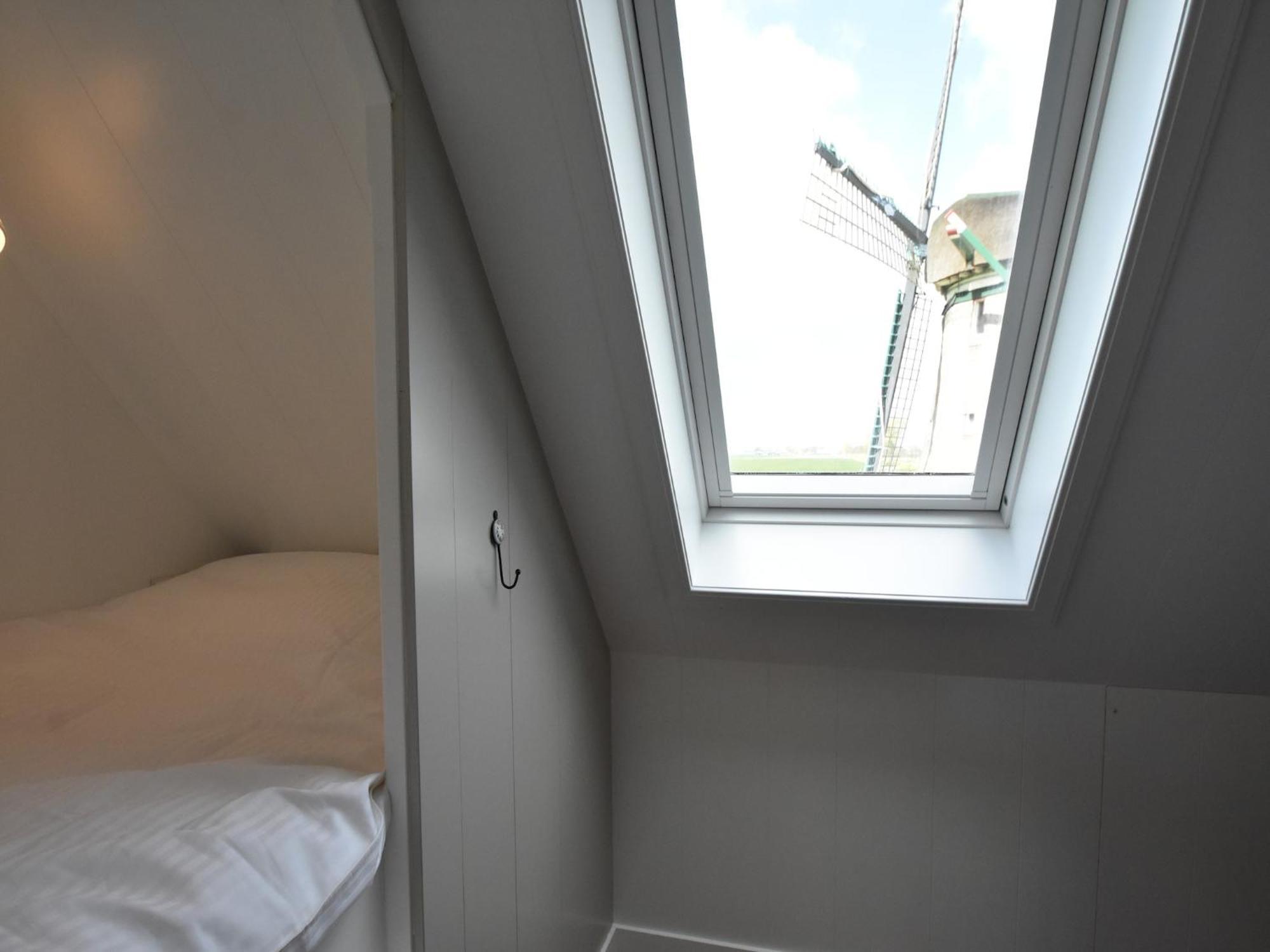 Spacious In The Beemster Near A Windmill *